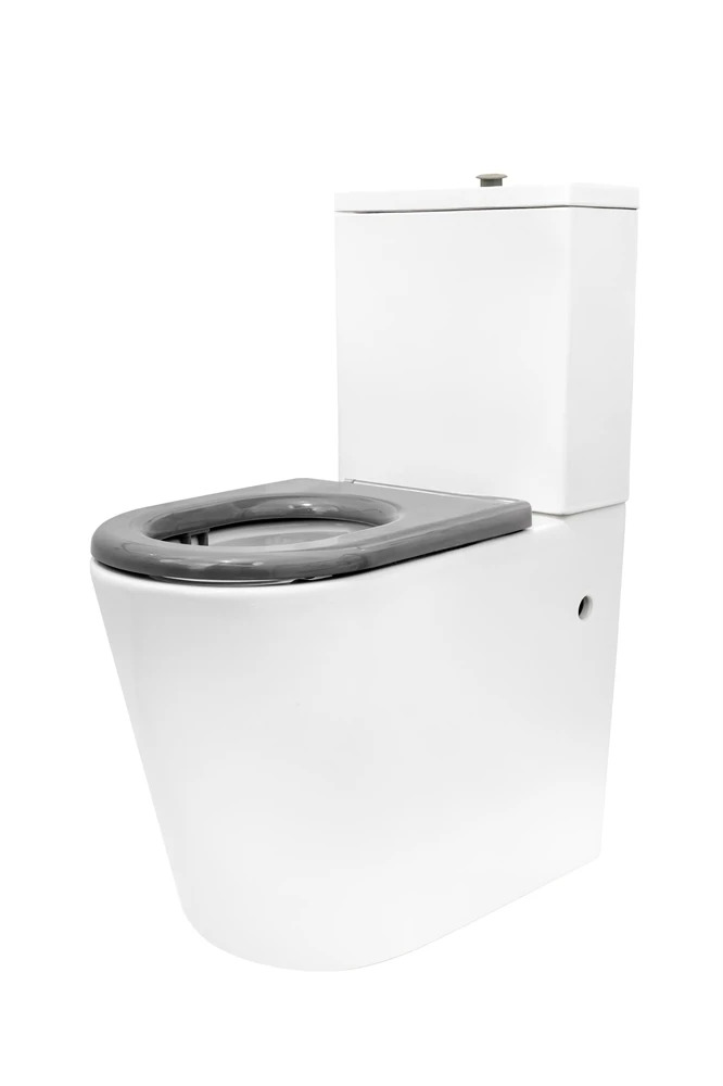 унитаз для инвалидов